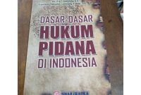 Apa Saja Dasar-Dasar Hukum Pidana Yang Perlu Diketahui
